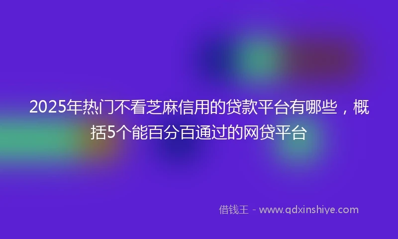 2025年热门不看芝麻信用的贷款平台有哪些，概括5个能百分百通过的网贷平台