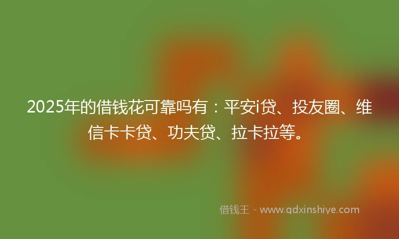 2025年的借钱花可靠吗有：平安i贷、投友圈、维信卡卡贷、功夫贷、拉卡拉等。