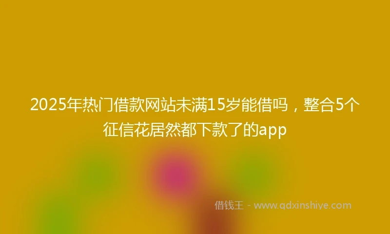 2025年热门借款网站未满15岁能借吗,整合5个征信花居然都下款了的app