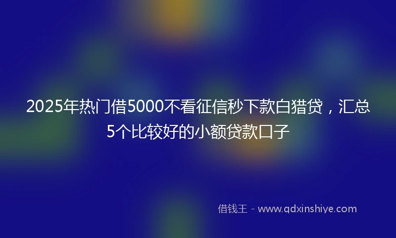 2025年热门借5000不看征信秒下款白猎贷,汇总5个比较好的小额贷款口子