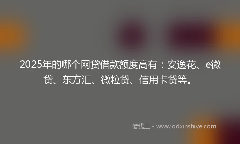 2025年的哪个网贷借款额度高有：安逸花、e微贷、东方汇、微粒贷、信用卡贷等。