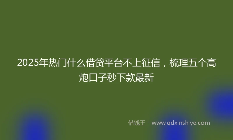 2025年热门什么借贷平台不上征信，梳理五个高炮口子秒下款最新