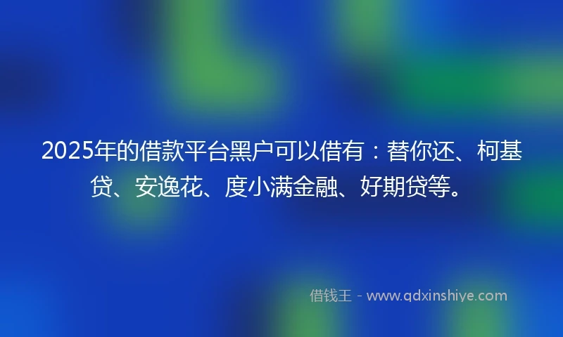 2025年的借款平台黑户可以借有：替你还、柯基贷、安逸花、度小满金融、好期贷等。