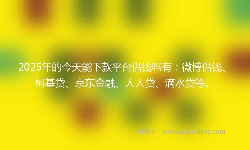 2025年的今天能下款平台借钱吗有：微博借钱、柯基贷、京东金融、人人贷、滴水贷等。