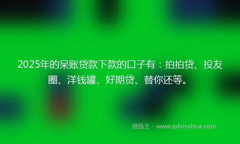 2025年的呆账贷款下款的口子有：拍拍贷、投友圈、洋钱罐、好期贷、替你还等。