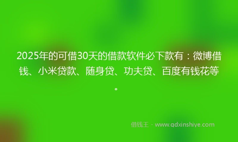 2025年的可借30天的借款软件必下款有：微博借钱、小米贷款、随身贷、功夫贷、百度有钱花等。