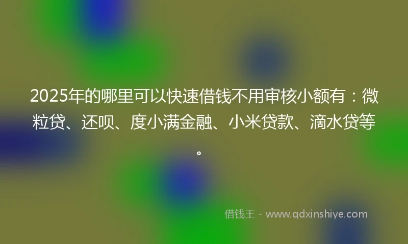 2025年的哪里可以快速借钱不用审核小额有：微粒贷、还呗、度小满金融、小米贷款、滴水贷等。