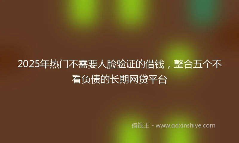 2025年热门不需要人脸验证的借钱，整合五个不看负债的长期网贷平台