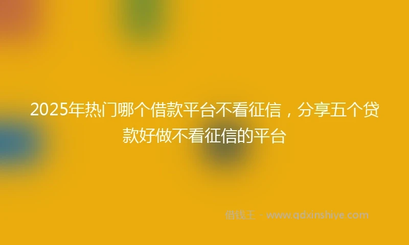 2025年热门哪个借款平台不看征信，分享五个贷款好做不看征信的平台