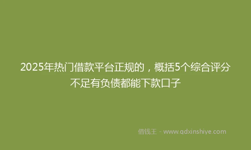 2025年热门借款平台正规的,概括5个综合评分不足有负债都能下款口子
