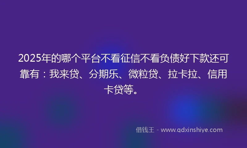 2025年的哪个平台不看征信不看负债好下款还可靠有：我来贷、分期乐、微粒贷、拉卡拉、信用卡贷等。