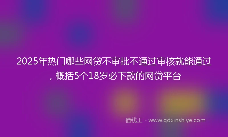 2025年热门哪些网贷不审批不通过审核就能通过，概括5个18岁必下款的网贷平台