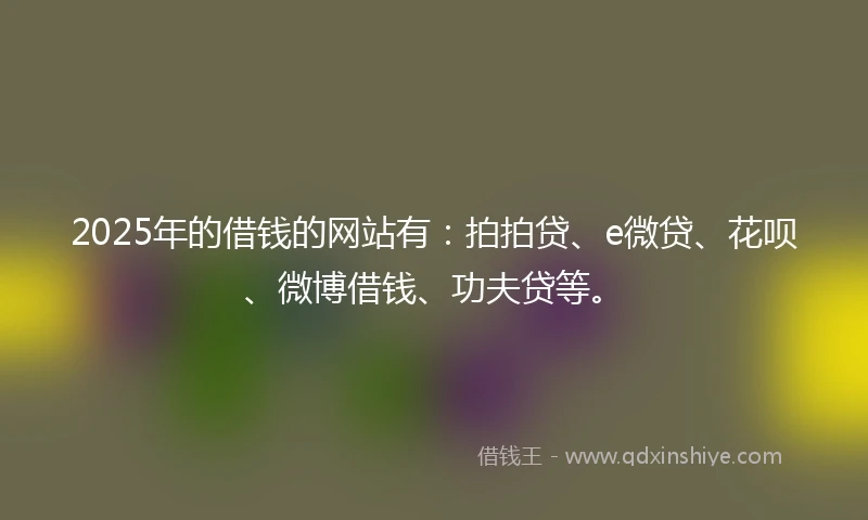 2025年的借钱的网站有：拍拍贷、e微贷、花呗、微博借钱、功夫贷等。
