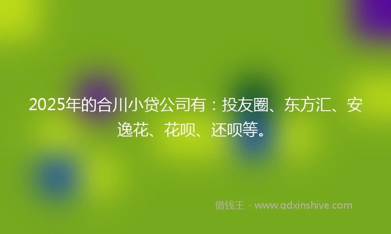 2025年的合川小贷公司有：投友圈、东方汇、安逸花、花呗、还呗等。