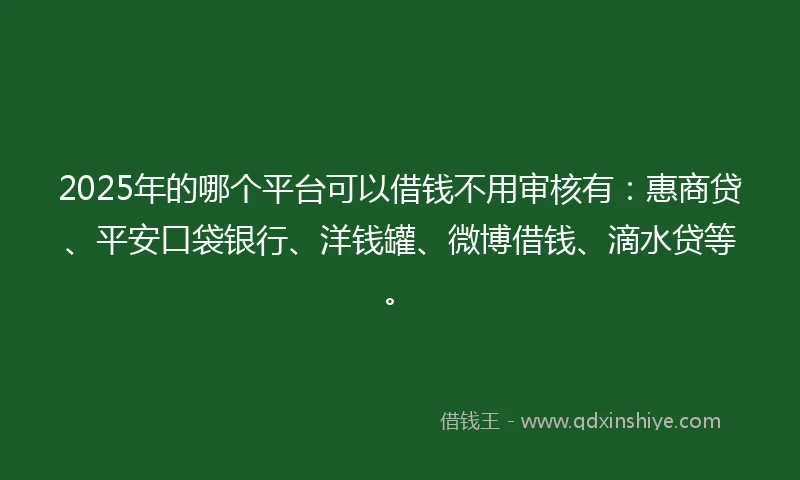 2025年的哪个平台可以借钱不用审核有：惠商贷、平安口袋银行、洋钱罐、微博借钱、滴水贷等。