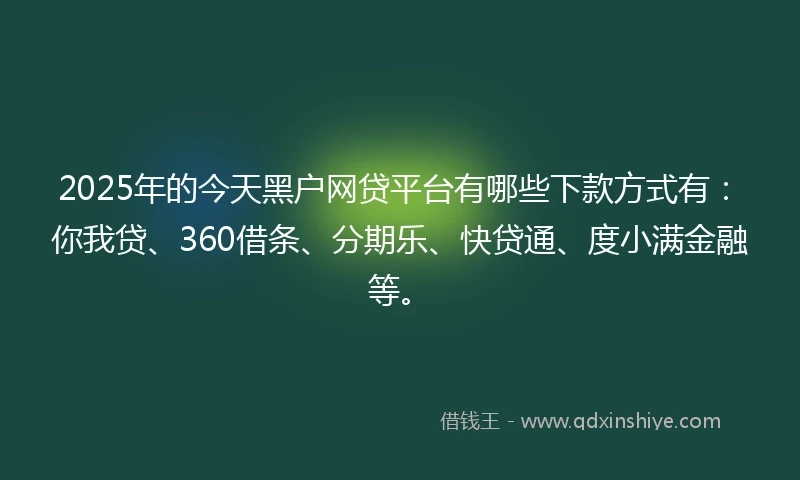 2025年的今天黑户网贷平台有哪些下款方式有：你我贷、360借条、分期乐、快贷通、度小满金融等。