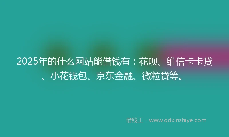 2025年的什么网站能借钱有：花呗、维信卡卡贷、小花钱包、京东金融、微粒贷等。