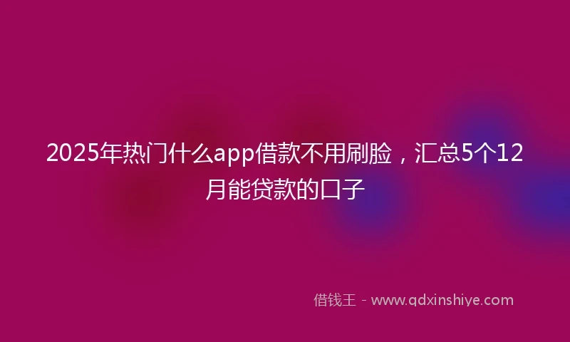 2025年热门什么app借款不用刷脸，汇总5个12月能贷款的口子