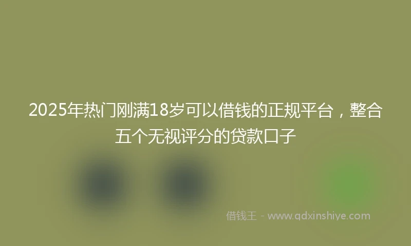2025年热门刚满18岁可以借钱的正规平台，整合五个无视评分的贷款口子