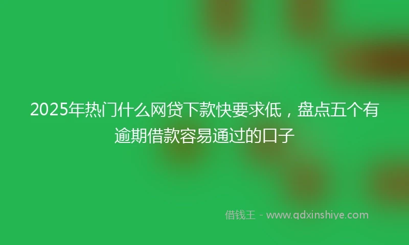 2025年热门什么网贷下款快要求低，盘点五个有逾期借款容易通过的口子