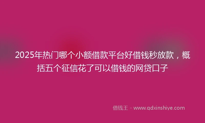 2025年热门哪个小额借款平台好借钱秒放款，概括五个征信花了可以借钱的网贷口子