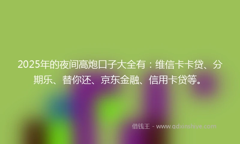 2025年的夜间高炮口子大全有：维信卡卡贷、分期乐、替你还、京东金融、信用卡贷等。