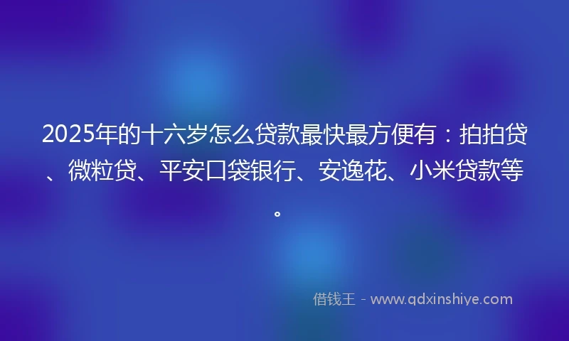 2025年的十六岁怎么贷款最快最方便有：拍拍贷、微粒贷、平安口袋银行、安逸花、小米贷款等。