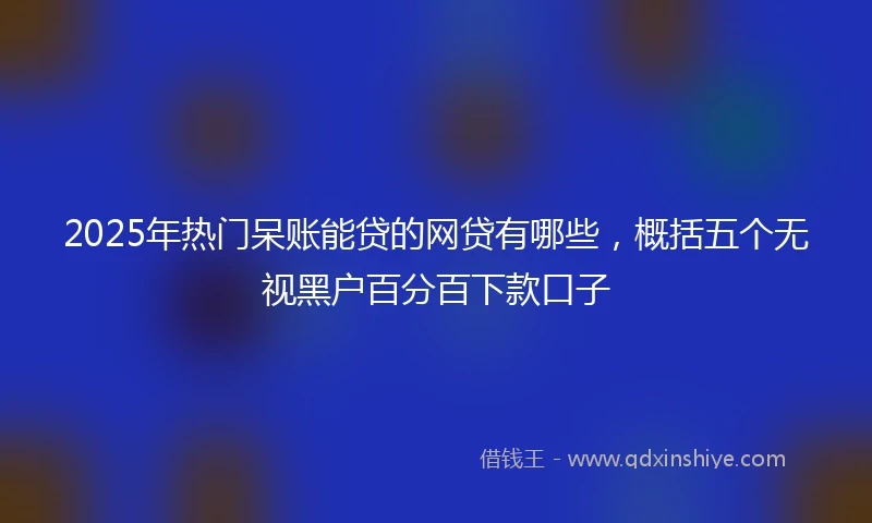 2025年热门呆账能贷的网贷有哪些，概括五个无视黑户百分百下款口子