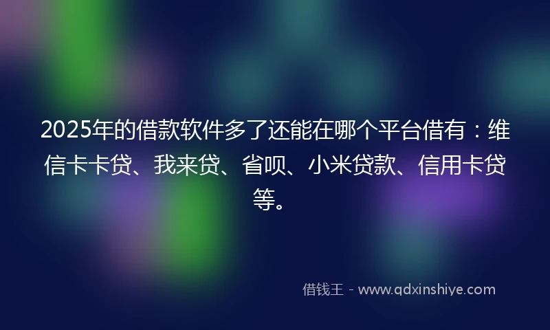 2025年的借款软件多了还能在哪个平台借有：维信卡卡贷、我来贷、省呗、小米贷款、信用卡贷等。
