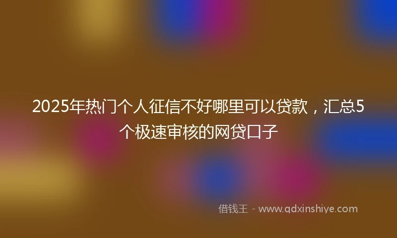 2025年热门个人征信不好哪里可以贷款,汇总5个极速审核的网贷口子
