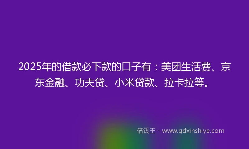 2025年的借款必下款的口子有：美团生活费、京东金融、功夫贷、小米贷款、拉卡拉等。