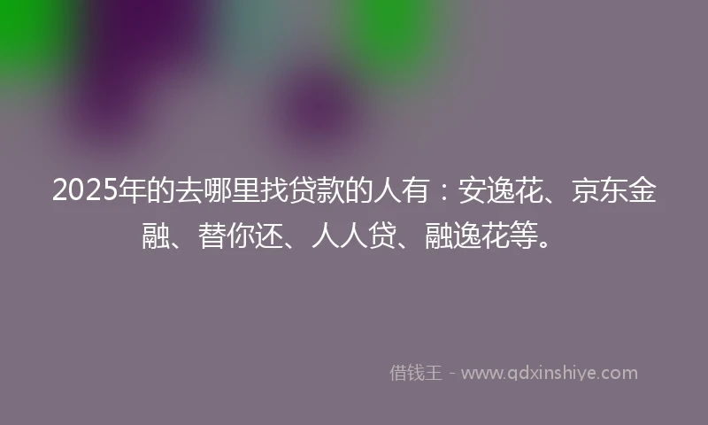 2025年的去哪里找贷款的人有：安逸花、京东金融、替你还、人人贷、融逸花等。