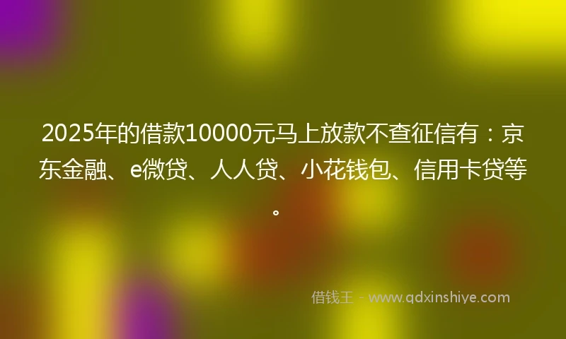 2025年的借款10000元马上放款不查征信有:京东金融、e微贷、人人贷、小花钱包、信用卡贷等。