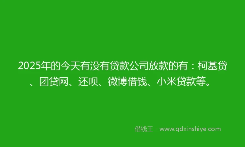 2025年的今天有没有贷款公司放款的有：柯基贷、团贷网、还呗、微博借钱、小米贷款等。