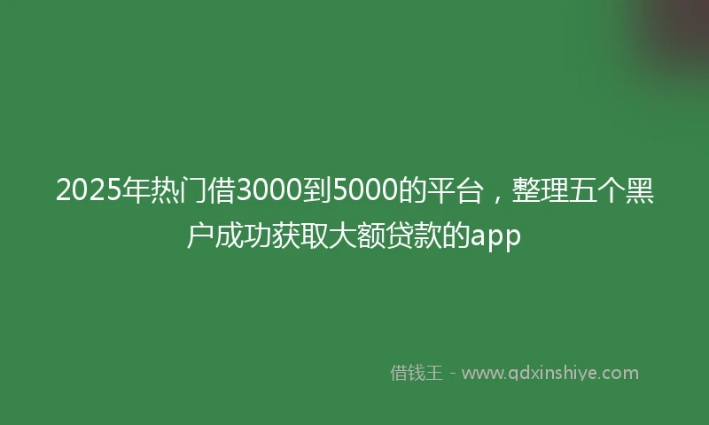 2025年热门借3000到5000的平台，整理五个黑户成功获取大额贷款的app