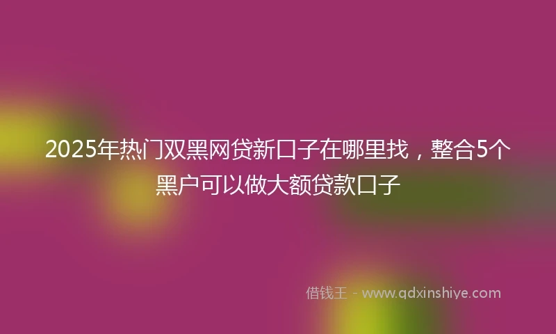 2025年热门双黑网贷新口子在哪里找，整合5个黑户可以做大额贷款口子