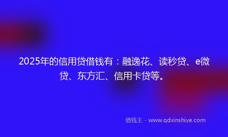 2025年的信用贷借钱有：融逸花、读秒贷、e微贷、东方汇、信用卡贷等。
