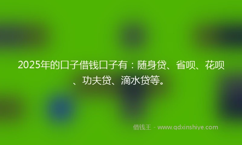 2025年的口子借钱口子有：随身贷、省呗、花呗、功夫贷、滴水贷等。