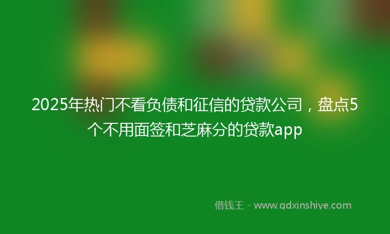2025年热门不看负债和征信的贷款公司，盘点5个不用面签和芝麻分的贷款app