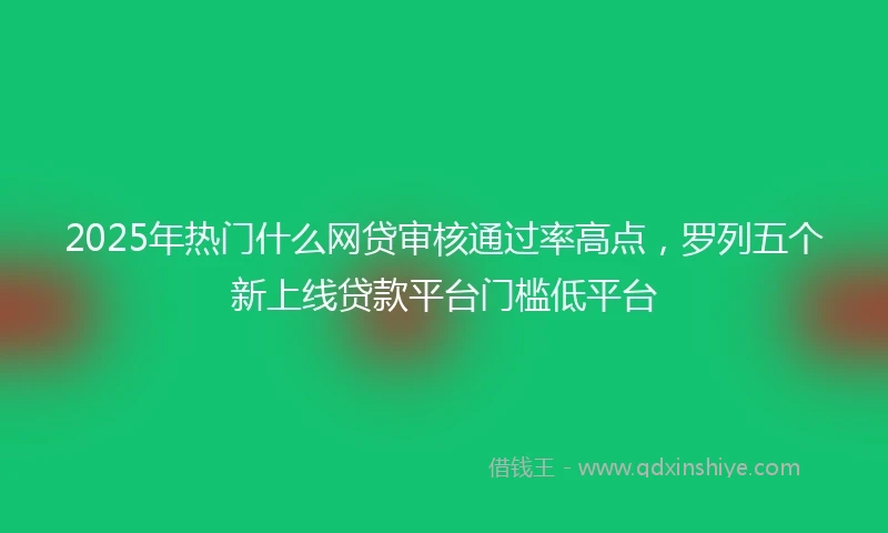 2025年热门什么网贷审核通过率高点，罗列五个新上线贷款平台门槛低平台