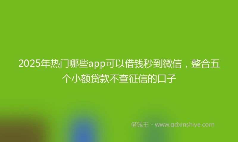 2025年热门哪些app可以借钱秒到微信，整合五个小额贷款不查征信的口子