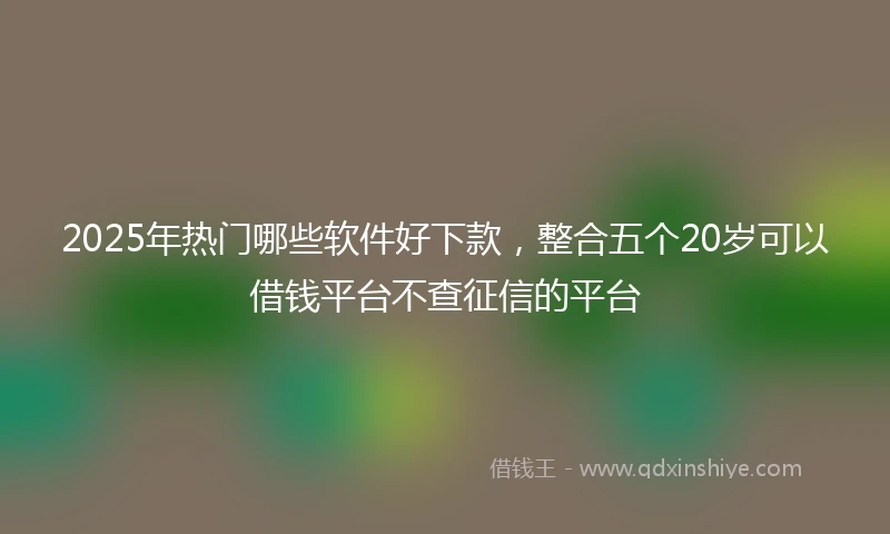 2025年热门哪些软件好下款，整合五个20岁可以借钱平台不查征信的平台