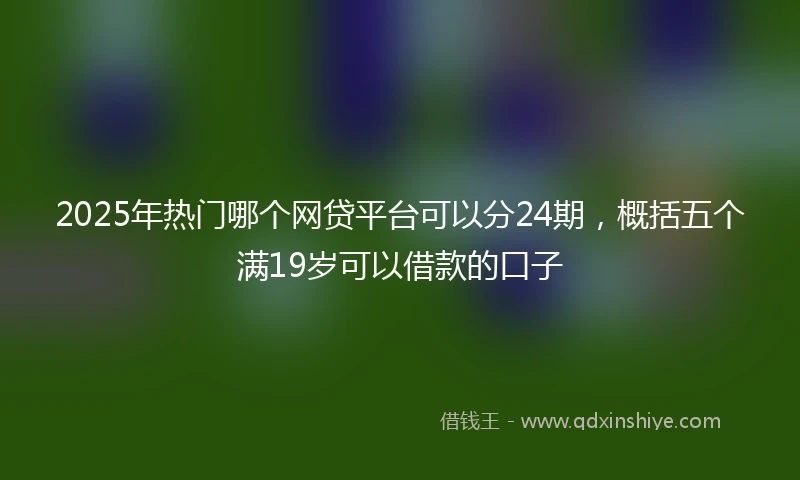 2025年热门哪个网贷平台可以分24期，概括五个满19岁可以借款的口子