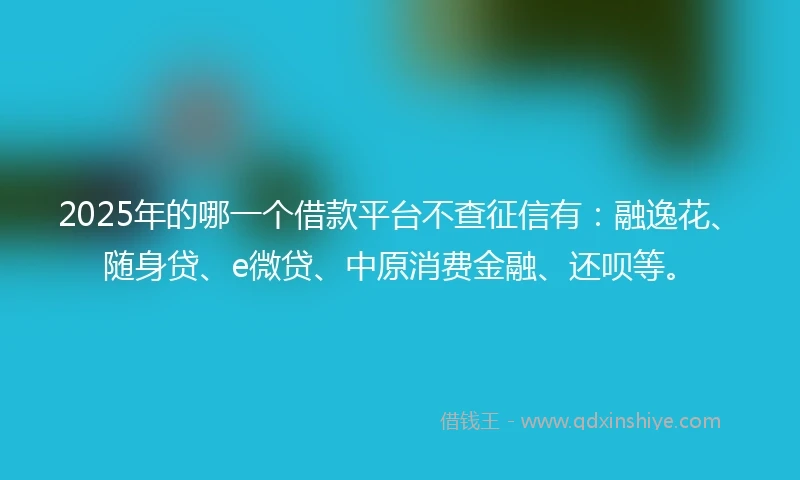2025年的哪一个借款平台不查征信有:融逸花、随身贷、e微贷、中原消费金融、还呗等。