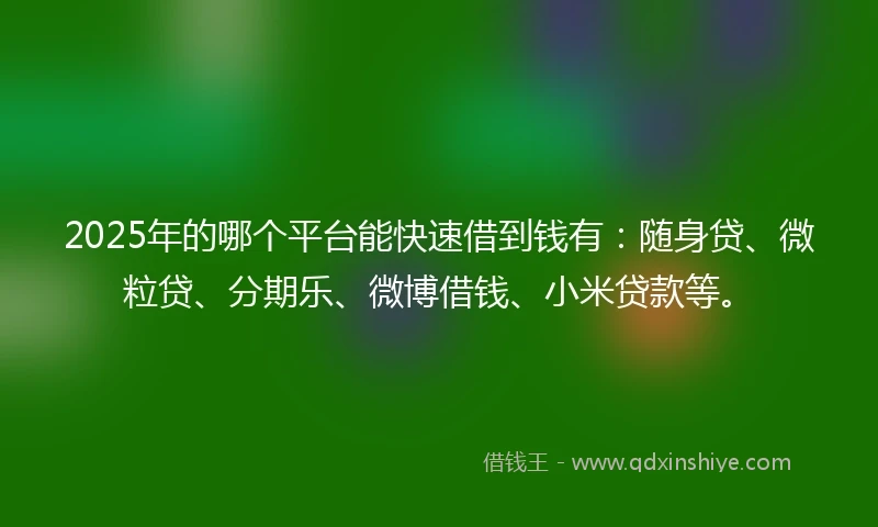 2025年的哪个平台能快速借到钱有:随身贷、微粒贷、分期乐、微博借钱、小米贷款等。