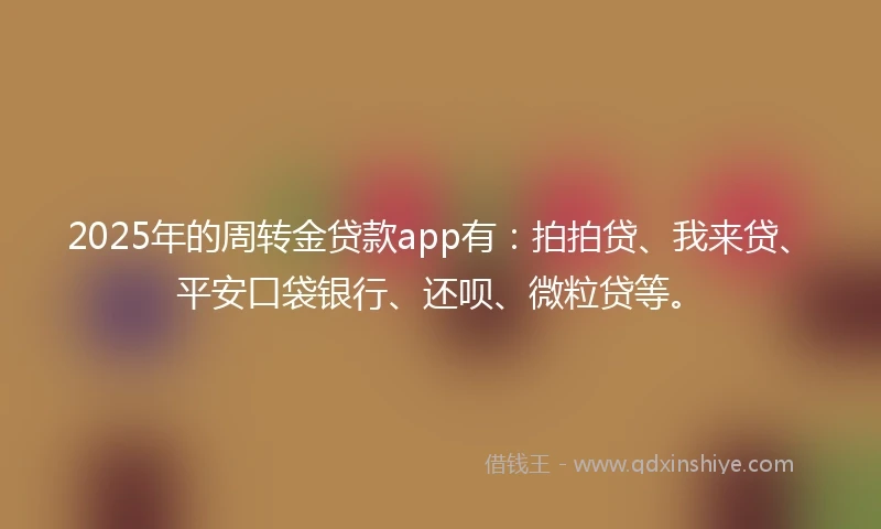 2025年的周转金贷款app有：拍拍贷、我来贷、平安口袋银行、还呗、微粒贷等。