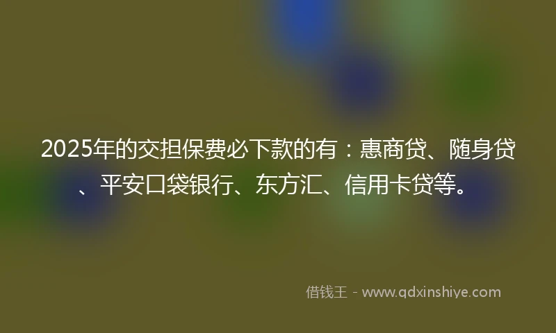 2025年的交担保费必下款的有：惠商贷、随身贷、平安口袋银行、东方汇、信用卡贷等。