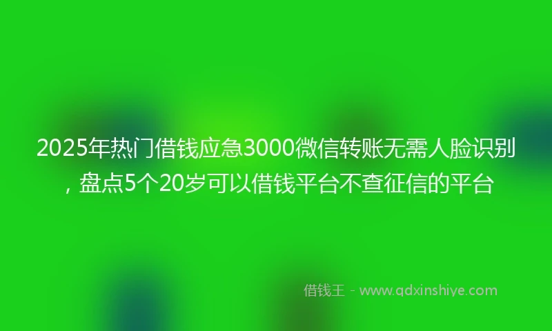 2025年热门借钱应急3000微信转账无需人脸识别，盘点5个20岁可以借钱平台不查征信的平台
