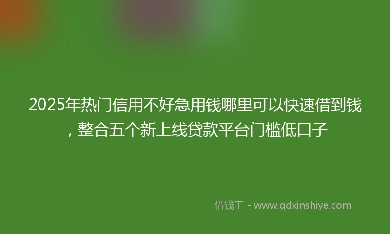 2025年热门信用不好急用钱哪里可以快速借到钱，整合五个新上线贷款平台门槛低口子
