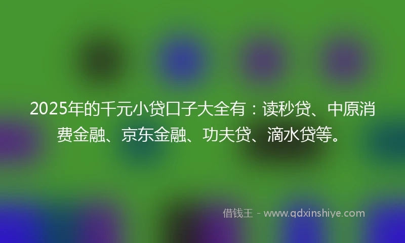2025年的千元小贷口子大全有：读秒贷、中原消费金融、京东金融、功夫贷、滴水贷等。